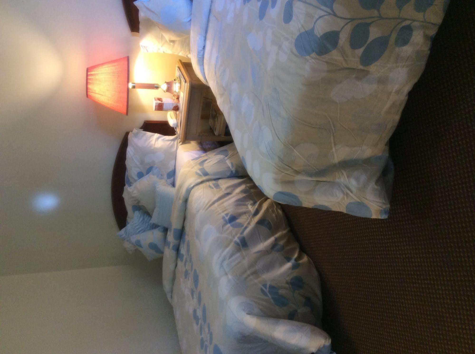Palace Inn Motel ซาร์เนีย ภายนอก รูปภาพ